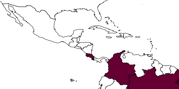 map of Eiphosoma tantalium     Gauld, 2000